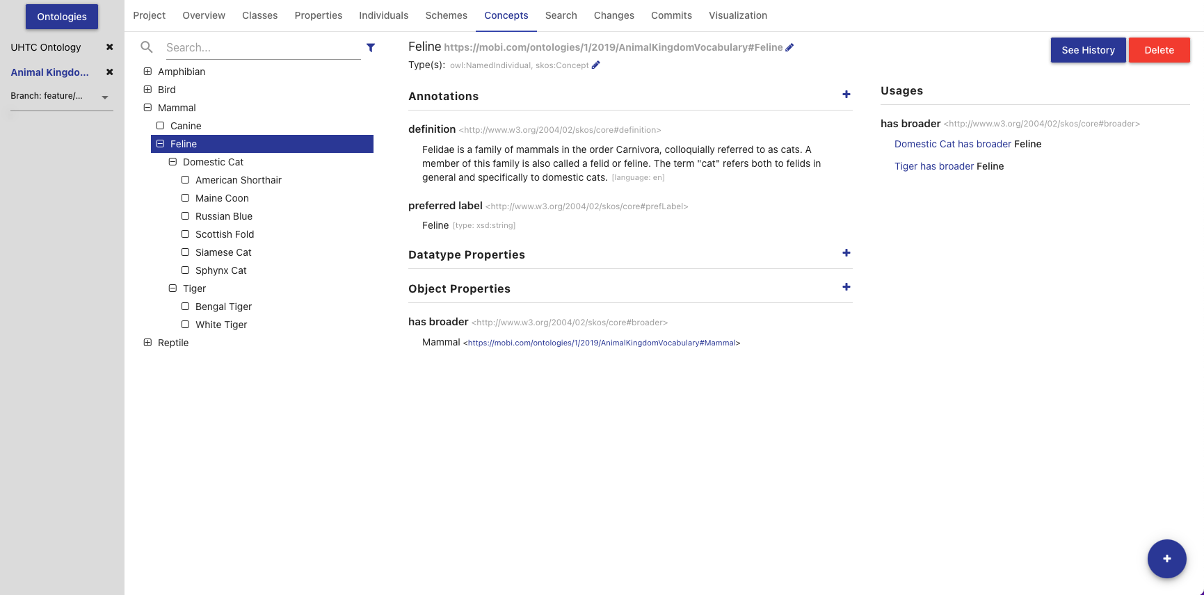 ontology editor tab concepts