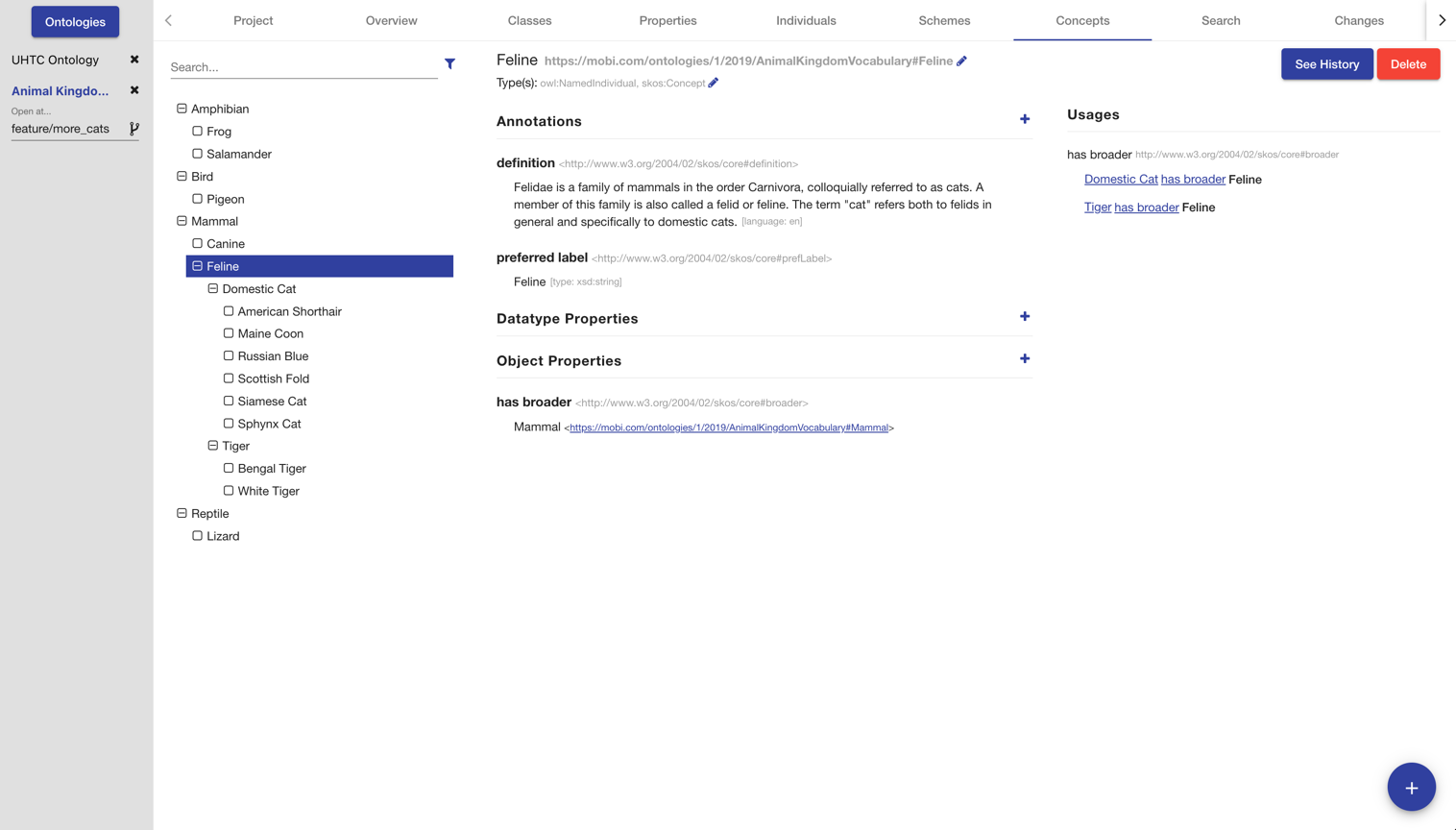 ontology editor tab concepts
